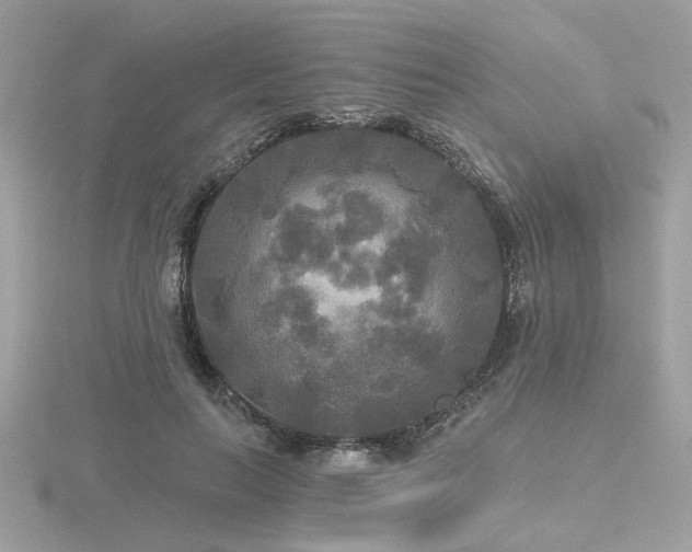 X0000116570647200912101511