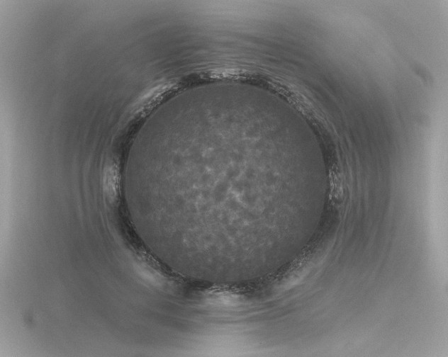 X0000116570648200912101511