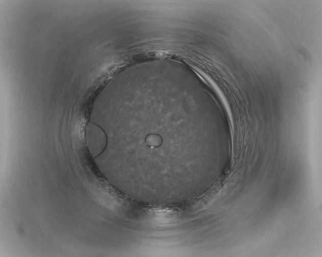 X0000116570650200912101511