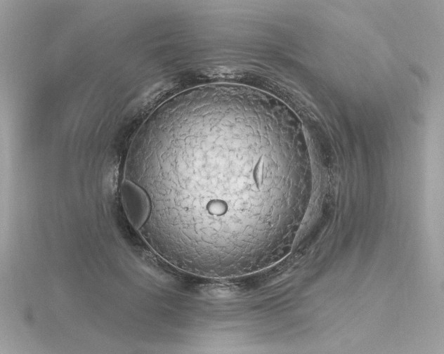 X0000116570652200912101511