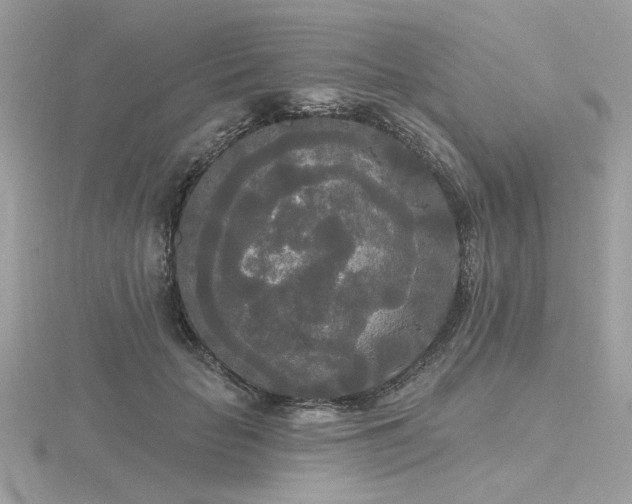 X0000116570653200912101511