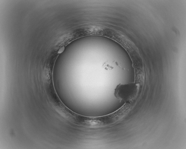 X0000116570654200912101511