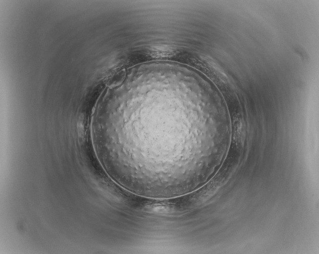 X0000116570655200912101511