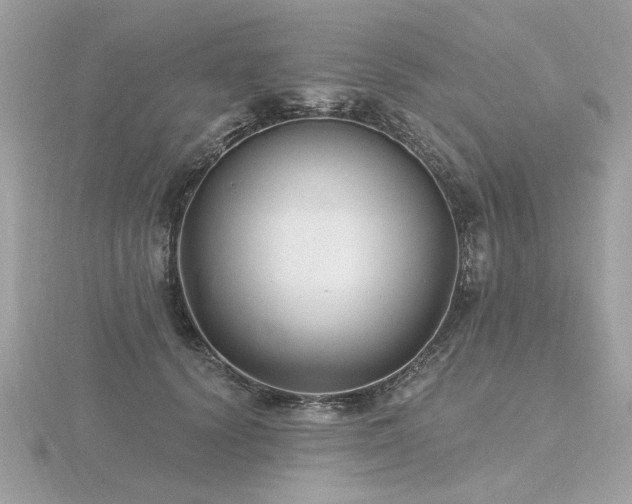 X0000116570656200912101511