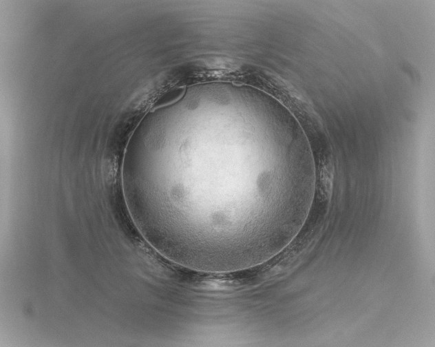 X0000116570657200912101511