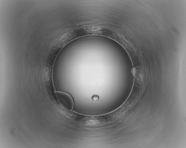 X0000116570658200912101511