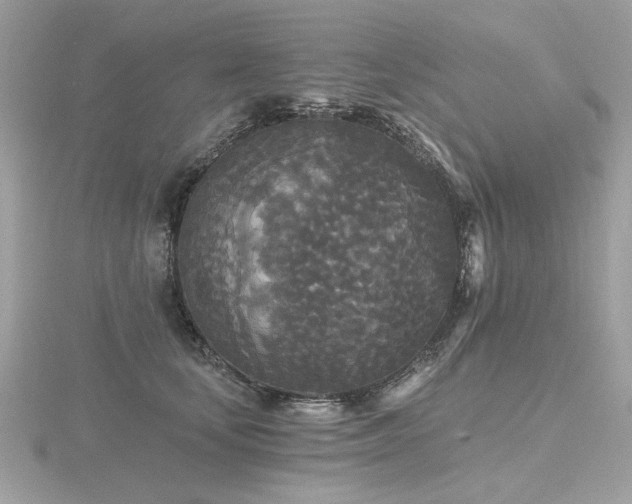 X0000116570659200912101511