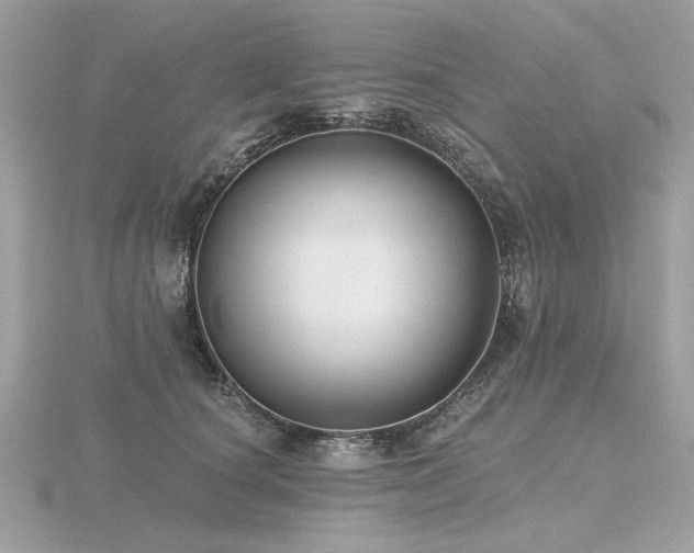 X0000116570660200912101511