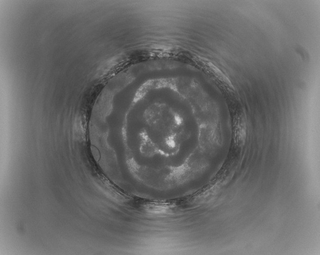 X0000116570661200912101511