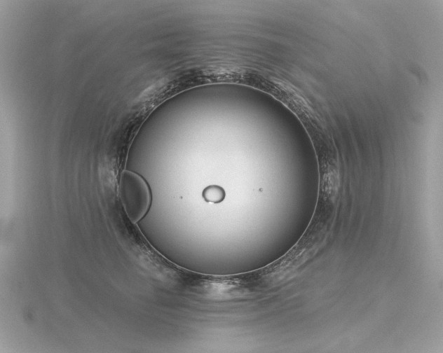 X0000116570662200912101511