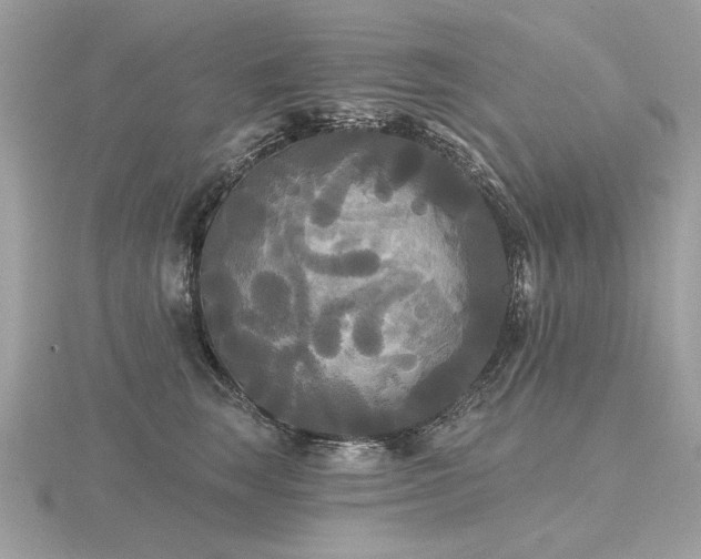 X0000116570663200912101511