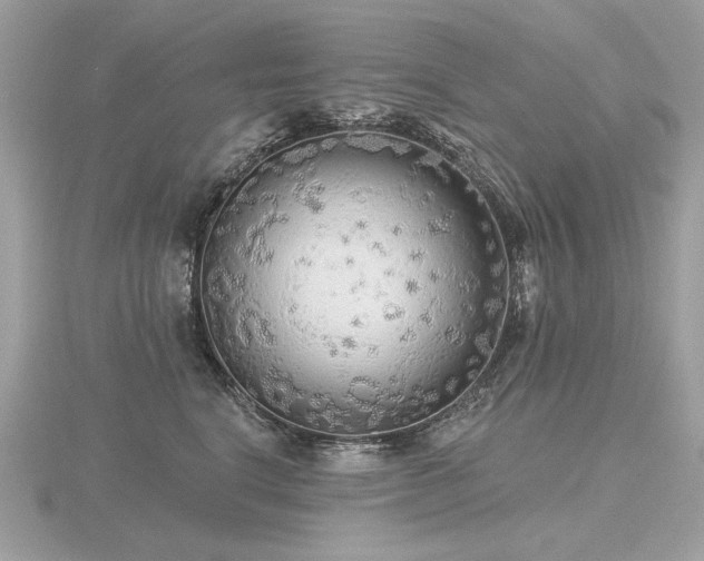 X0000116570664200912101511