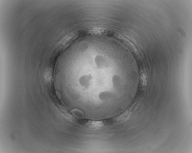 X0000116570665200912101511