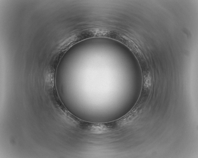 X0000116570666200912101511