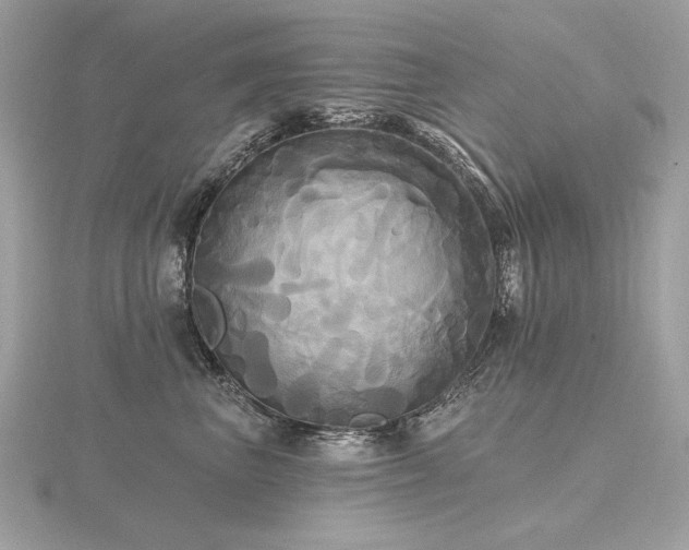 X0000116570667200912101511