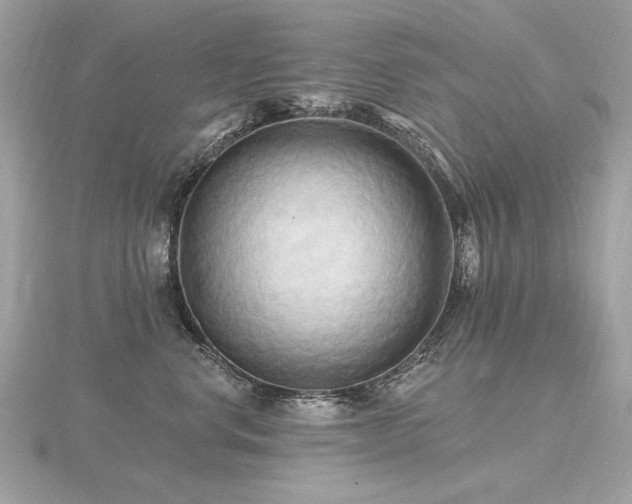 X0000116570668200912101511