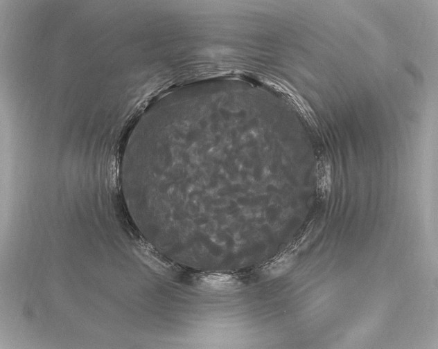 X0000116570669200912101511