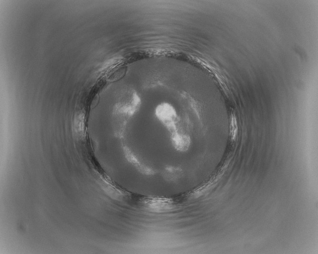 X0000116570670200912101511