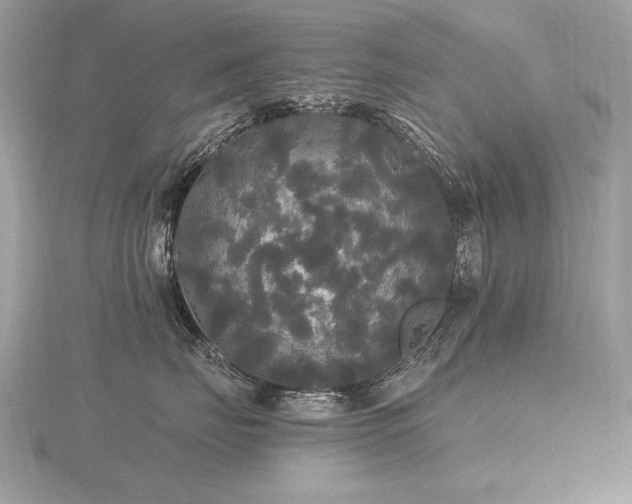 X0000116570671200912101511