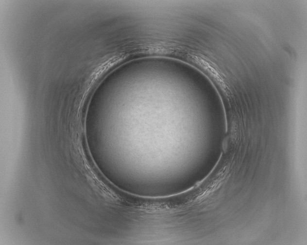 X0000116570673200912101511