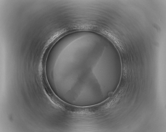 X0000116570674200912101511