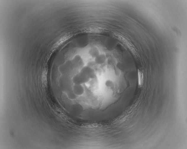 X0000116570675200912101511