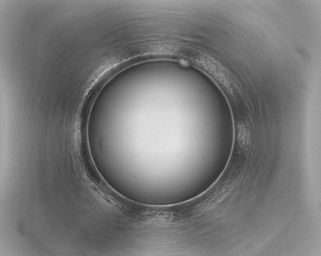 X0000116570676200912101511