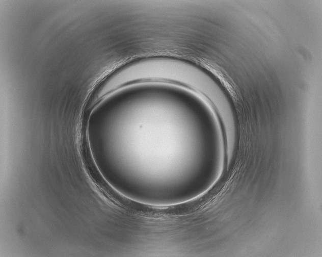 X0000116570677200912101511