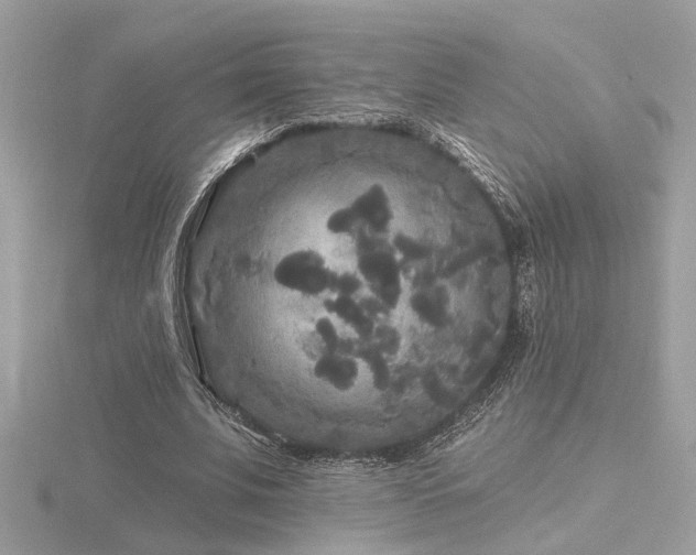 X0000116570679200912101511