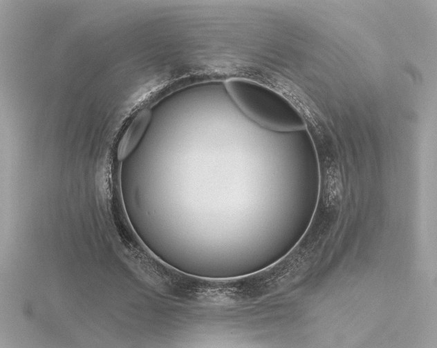 X0000116570680200912101511