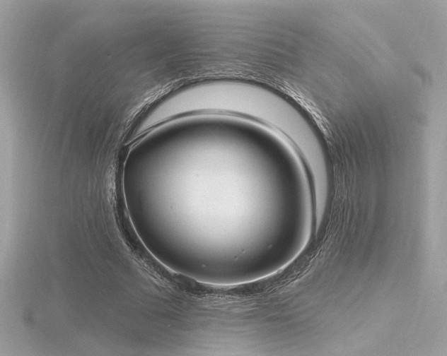 X0000116570681200912101511