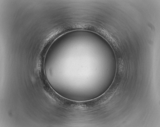 X0000116570683200912101511