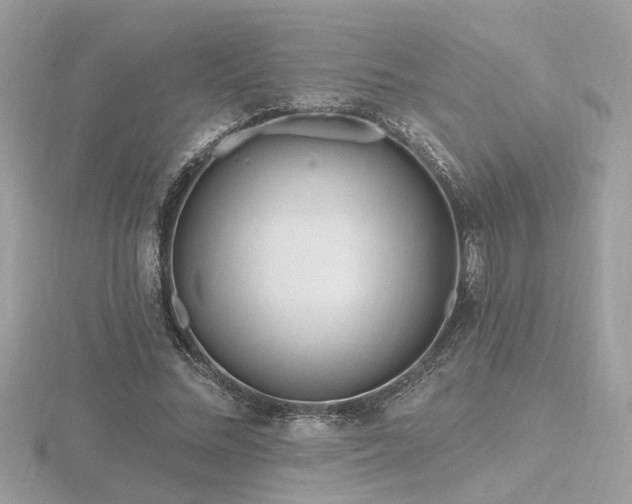 X0000116570684200912101511