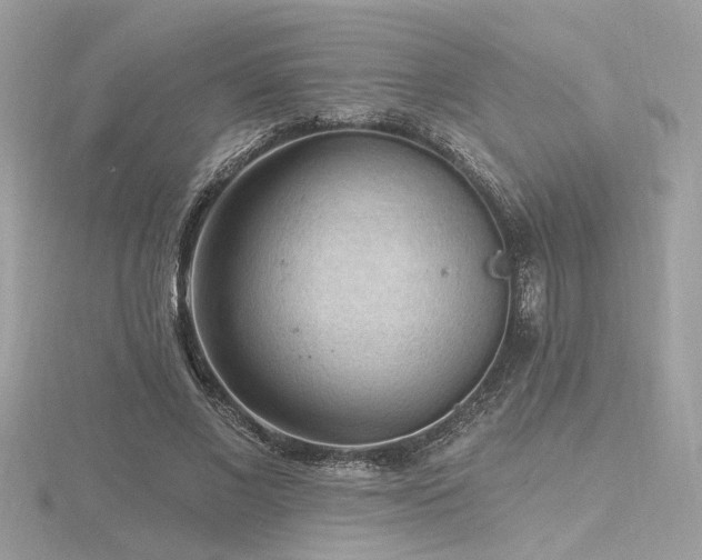 X0000116570685200912101511