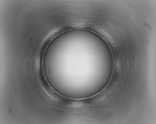 X0000116570686200912101511