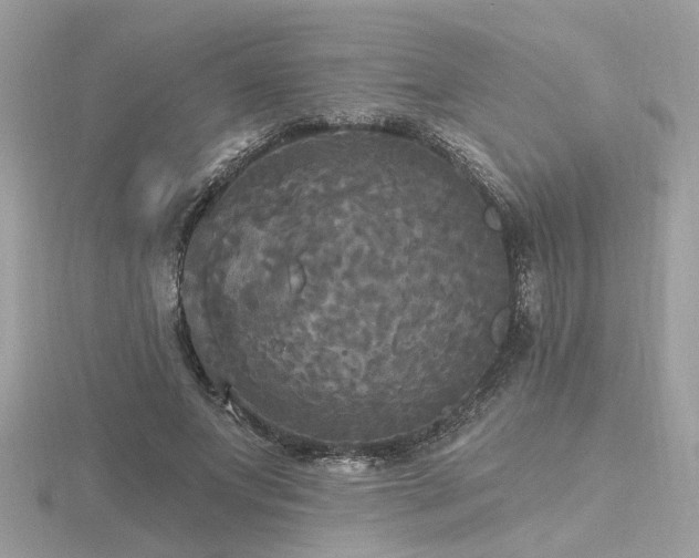 X0000116570687200912101511