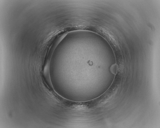 X0000116570689200912101511