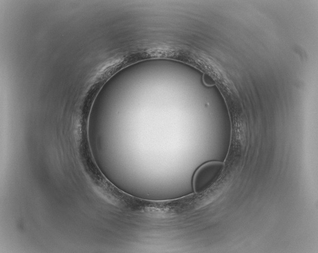 X0000116570690200912101511