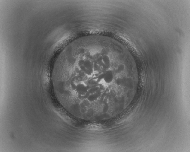 X0000116570691200912101511