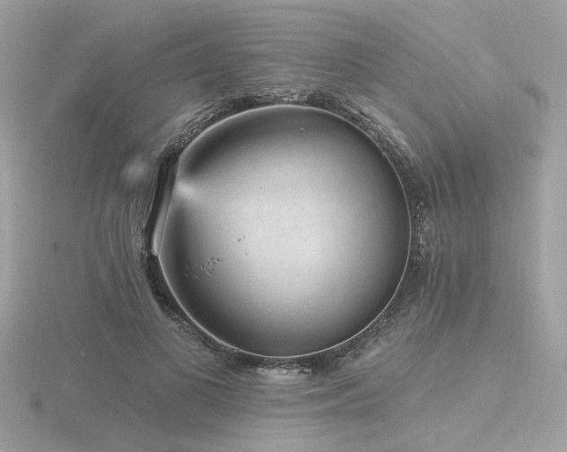 X0000116570693200912101511