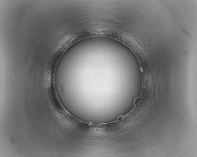 X0000116570694200912101510