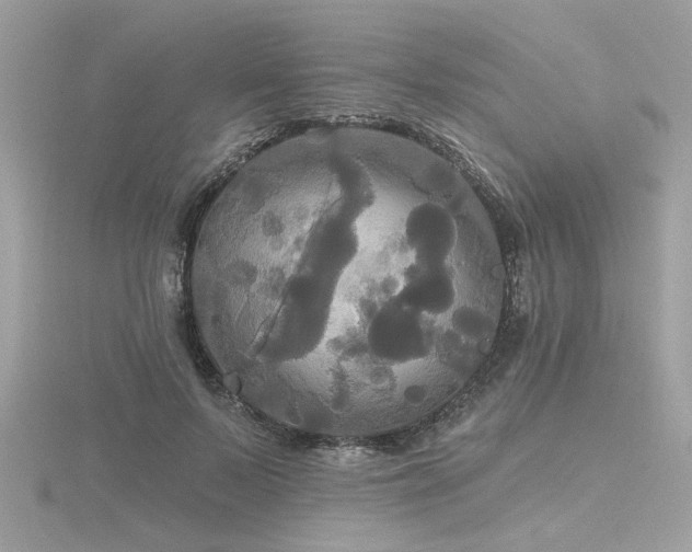 X0000116570695200912101510