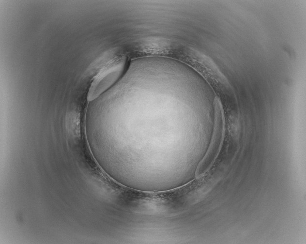 X0000116570696200912101510