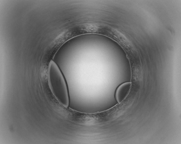 X0000116570697200912101510