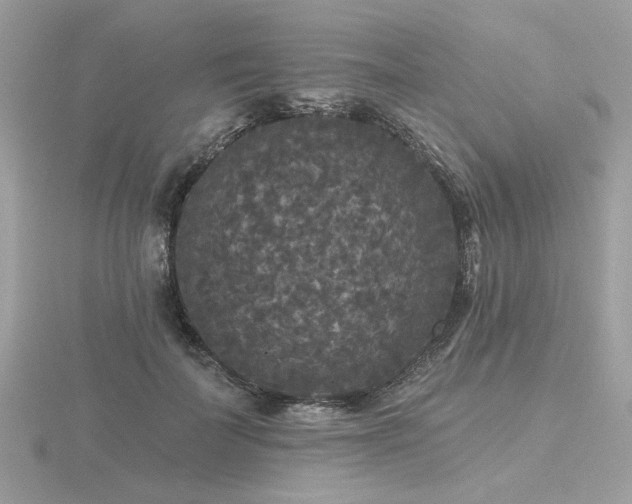 X0000116570699200912101510