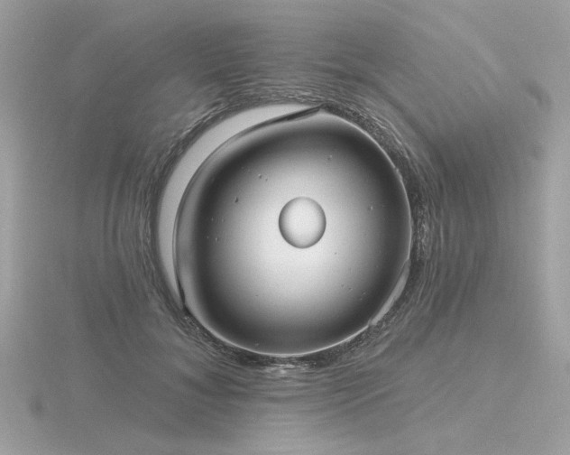 X0000116570700200912101510