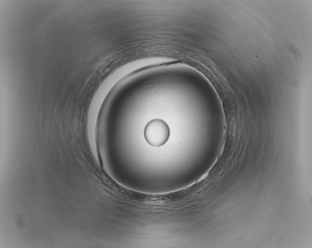 X0000116570701200912101510