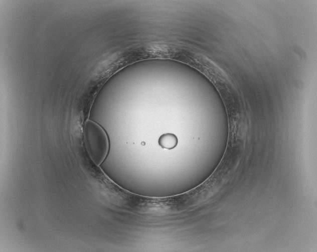 X0000116570702200912101510