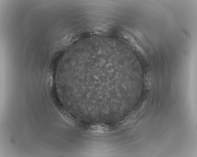 X0000116570703200912101510