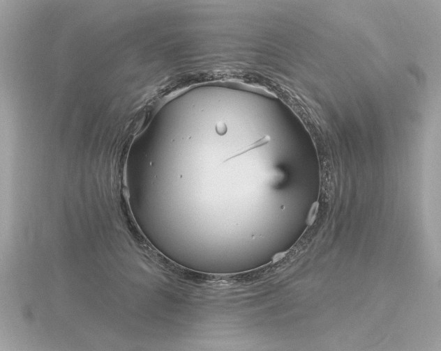 X0000116570704200912101510